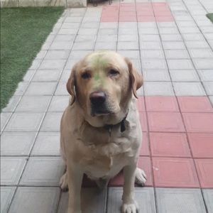 Meet your Posher, Karina